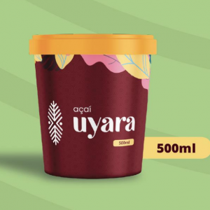 Pote de Açaí Premium 500 ml
