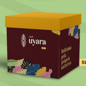 Pote de Açaí Premium 5 Litros